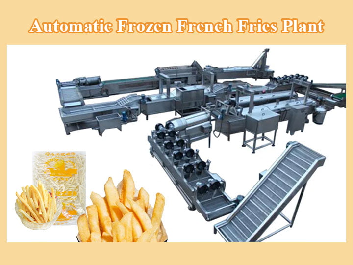 large frozen french fries plant