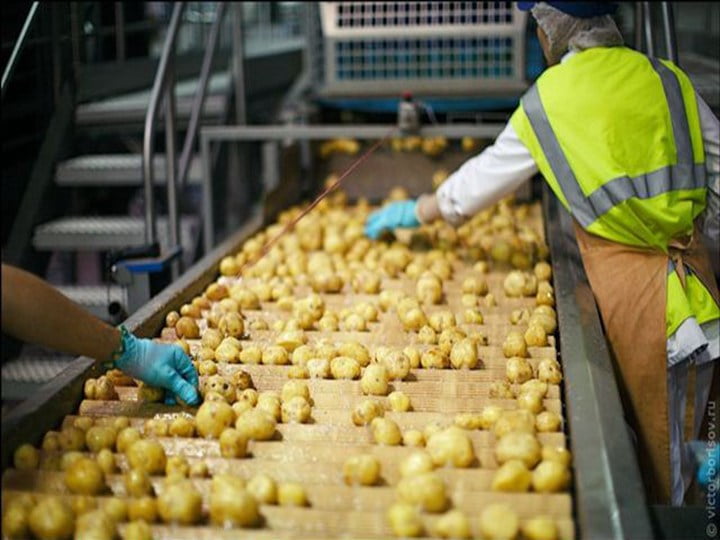 Potato chips processing in ukraine